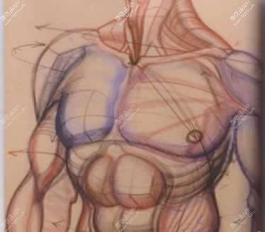 　360º多维立体男性腹部吸脂——
精确定位，无需运动，
体型塑造，永久科学健康块腹肌，

360º多维立体男性腹部吸脂术
    男性腹部吸脂一次一般能抽取800-4000ml的脂肪来改善男人的小肚腩，腹部吸脂手术(抽脂手术)直截作用于腹部脂肪，将脂肪转化称为脂肪液，然后吸出体外，使得腹部脂肪变的很薄，进而来改善腰围，去除小肚子。腹部吸脂让男人轻松减腹腰腹选择在做腹部吸脂，吸脂后不须要住院，第二天变可以上班，不影响工作，让繁忙的男人们不必担心留守医院，轻松减腹。男人经过做腰腹部吸脂减肥(吸脂塑身)不仅可以改善腰腹堆积的脂肪，而且可以减少由于腰腹部脂肪堆积而引起的一些疾病。