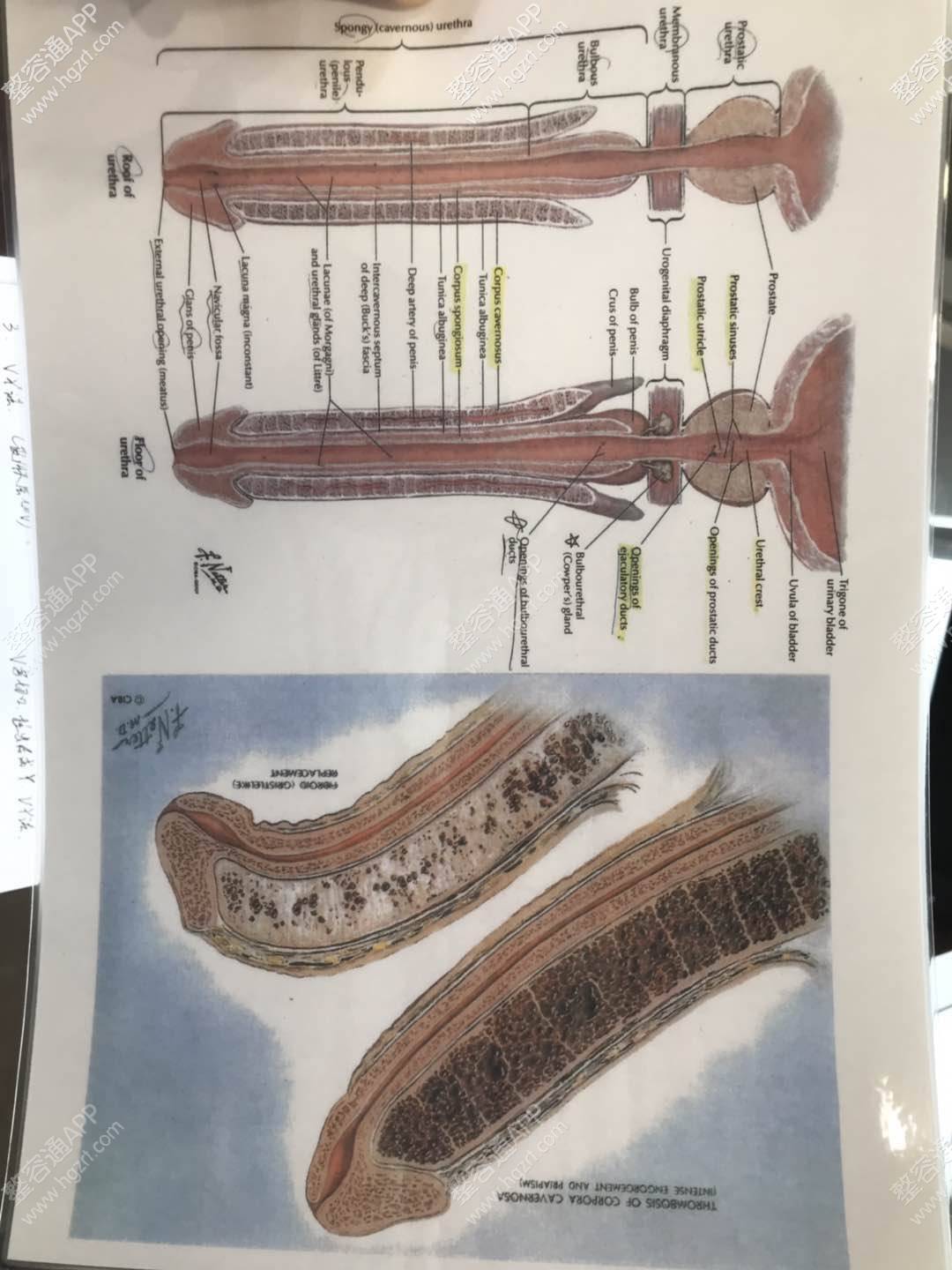 试探他医院一直在致力于材料研究