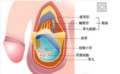 那么