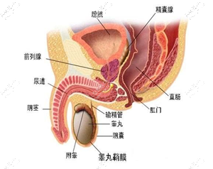 那么