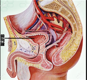 试探他男科医院在治疗前列腺肥大上有哪些方法？哪种方法是目前最普遍受欢迎的？