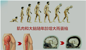 前列腺增生不必动手术就可以治疗