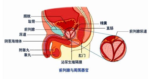 首尔哪个医院治疗前列腺疾病比较好？